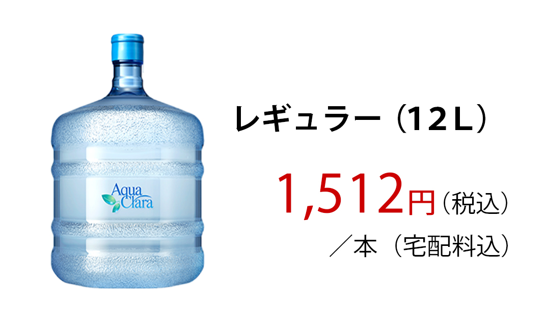 レギュラー(12L)